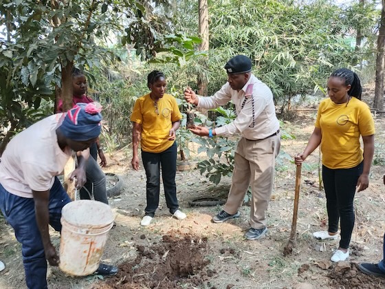 Participants tending a planting site outdoors beside a bucket and tools.